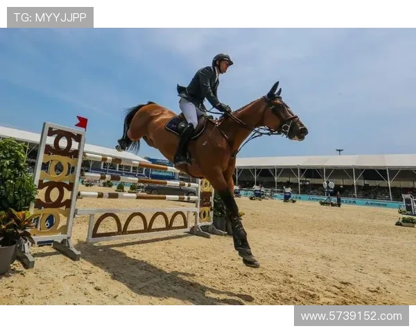 db体育：社交媒体在体育博彩中的影响力分析